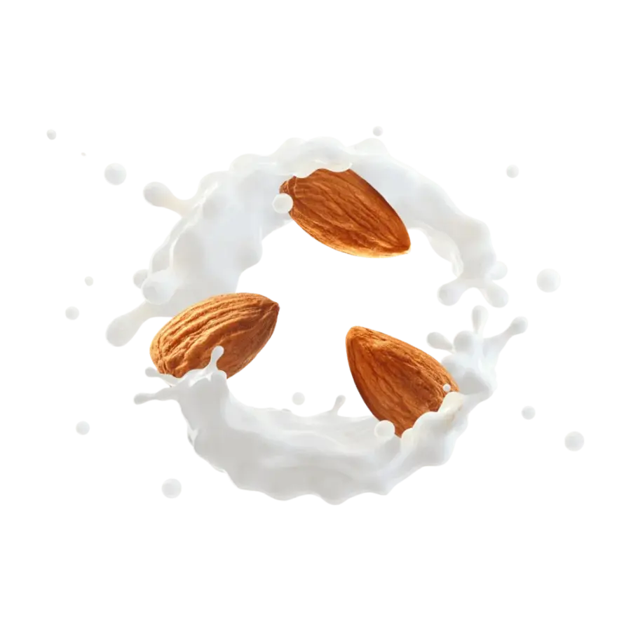 Powerlogy Protein Almond Snack 90 g
