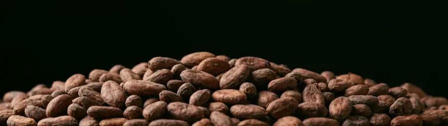 Powerlogy Upgraded High Energy Cacao 250 g
